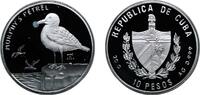 Cuba 10 Pesos Cuba Second Republic 2004 10 Pesos (Murphy's Petrel) Silver (.999) (5000) 20g PF KM 798 -