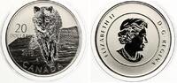 20 Dollar 2013 - Kanada - Wolf Blister -