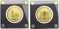 TSCHAD 5000 Francs Gold 1/200 Unze Springbock -