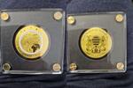 TSCHAD 5000 Francs Gold 1/200 Unze Atmosphäre -
