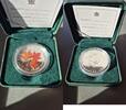 KANADA 2001 - 5 Dollars in Silber (1 Unze) in Farbe - MAPLE LEAF -