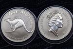 Australien Dollar Känguruh Unze -