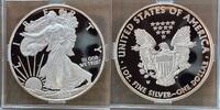 1 Dollars Silver Eagle 1 Unze Silber -