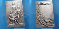 Assurance, Mutualité bronze Assurance, Mutualité, plaquette en bronze argenté, la mutualité couronnant la solidarité, 60x38mm, 60,98g, TTB à SUP - silver -