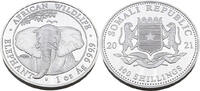 Somalia 100 Schilling / 1 Oz African Wildlife - Elephant -