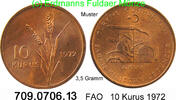 Türkei 10 Kurus *419 KM898.1 FAO -- 3,5 Gramm . 709.0706.13 -