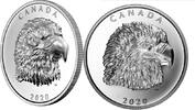 Canada 25$ Proud Bald Eagle 1 oz. Pure Silver EHR Coin -