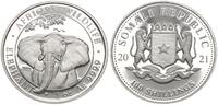 Somalia 100 Shillings Elefant -