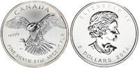 Kanada 5 Dollar Weißkopfseeadler 1 oz Silber -