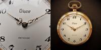 Schweiz?, HERREN TASCHENUHR, DIANE TASCHENUHR, ANTICHOC, neuere Bauart, Stiftankerhemmung, -