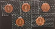 Deutschland 1 Pfennig 5 Münzen komplett Stempelglanz, in Folie -