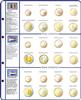 Vordruckblatt EURO COLLECTION: Kursmünzensätze Italien / Luxemburg / Niederlande -