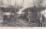 Argonnerwald/Frankreich Ansichtskarte/Postkarte/Pferdeställe mit Stallgasse im Argonnerwald -