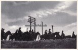 Drittes Reich Ansichtskarte/Postkarte/Unsere Reichswehr/Abendstimmung. Reiter auf dem Marsch.. -