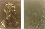 Frankreich Plakette Bronze Marianne, belorbeertes Brustbild nach rechts / Lorbeerzeige unter leerem Gravurfeld, v. Vernier, ca. 38,5 x 52,5 MM -