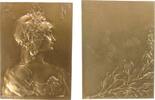 Frankreich Plakette Bronze Marianne, belorbeertes Brustbild nach rechts / Lorbeerzeige unter leerem Gravurfeld, v. Vernier, ca. 38,5 x 52,5 MM -