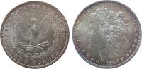USA Dollar Ag Morgan, Patina -