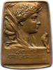 Kunstmedaillen Einseitige Bronzeplakette 1906 Rathausky, Hans Vorzüglich 460.20 元 含税 ＋  125.51 元 运费