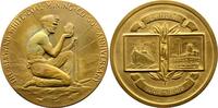 Ausbeute Bronzemedaille Vereinigte Staaten von Amerika -
