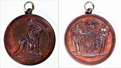 België Medal Death of Belgian writer Hendrik Conscience -