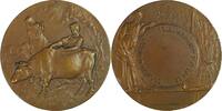 France Historical medal Agriculture Prize Medal / Life stock -
