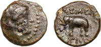 Seleukiden. Antiochos III. (223-187 BCE) AE Apollo, Elefant! -