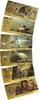 USA Banknoten  Lot of 6 Dinosaur $100 T-Rex Velociraptor Triceratops Gol... 128.02 元 含税 ＋  -7.13 元 运费