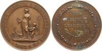 Österreich, Kaiserreich, Stadt Linz Bronzemedaille Verein für Gärtner und Gartenfreunde, Preismedaille -