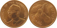 GAMBIA BUTUT -