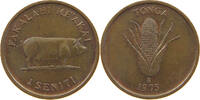 TONGA SENITI -