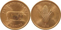 TONGA SENITI -