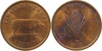 TONGA SENITI -