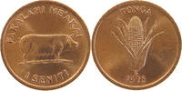 TONGA SENITI -