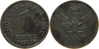 POLAND FENIG -