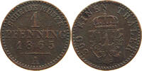 BRANDENBURG PREUSSEN PFENNIG Wilhelm I. (1861-1888) -