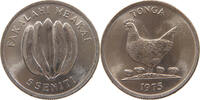 TONGA 5 SENITI -