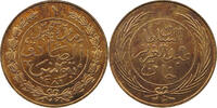 TUNISIA KHARUB GREAT COLOR SHINNY FIELDS -