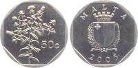 Malta 50 Cents Baum - Maltesischer Alant - Pflanze -