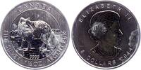 Kanada 8 Dollarc Polarfuchs - 1 1/2 Unzen Feinsilber -