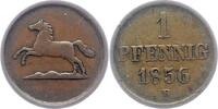 Braunschweig-Wolfenbüttel Pfennig Kupfer Wilhelm 1831-1884. -