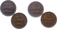 Braunschweig-Wolfenbüttel Pfennig Kupfer Wilhelm 1831-1884. -