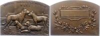 Frankreich-Metz, Stadt Bronzeplakette -