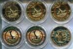 Deutschland 6 x 5 Euro ~ farbig u.a. veredelt ~ -