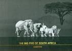 Tchad / Tschad 5 x 5000 Francs ~ BIG FIVE - 5 x 1/200 Unze Gold ~ -
