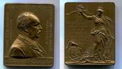 Österreich, Br.Plakette auf die Versammlung Deutscher Naturforscher und Ärtzte in Wien, -