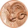 Mongolia 250 The magnificent Argali - 250 Togrog Copper Mongolia 2022 -