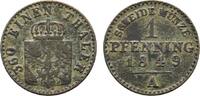 Brandenburg-Preußen Cu Pfennig Friedrich Wilhelm IV. 1840-1861 -