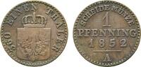 Brandenburg-Preußen Cu Pfennig Friedrich Wilhelm IV. 1840-1861 -