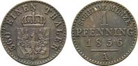 Brandenburg-Preußen Cu Pfennig Friedrich Wilhelm IV. 1840-1861 -