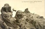 Deutschland Ansichtskarte Stellingen Hamburg Carl Hagenbeck´s Tierpark Markhor Felsen -